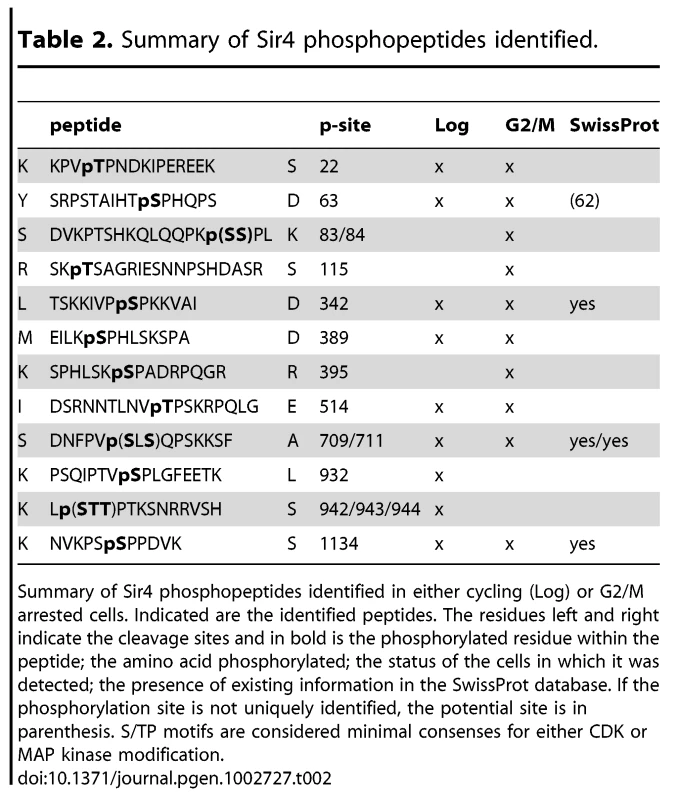 Summary of Sir4 phosphopeptides identified.