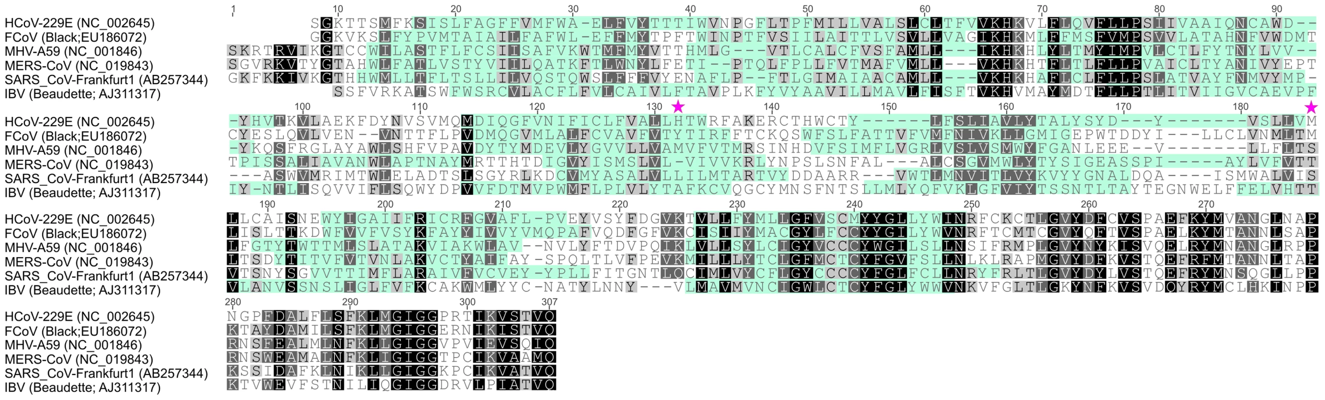 Alignment of coronavirus nsp6 sequences.