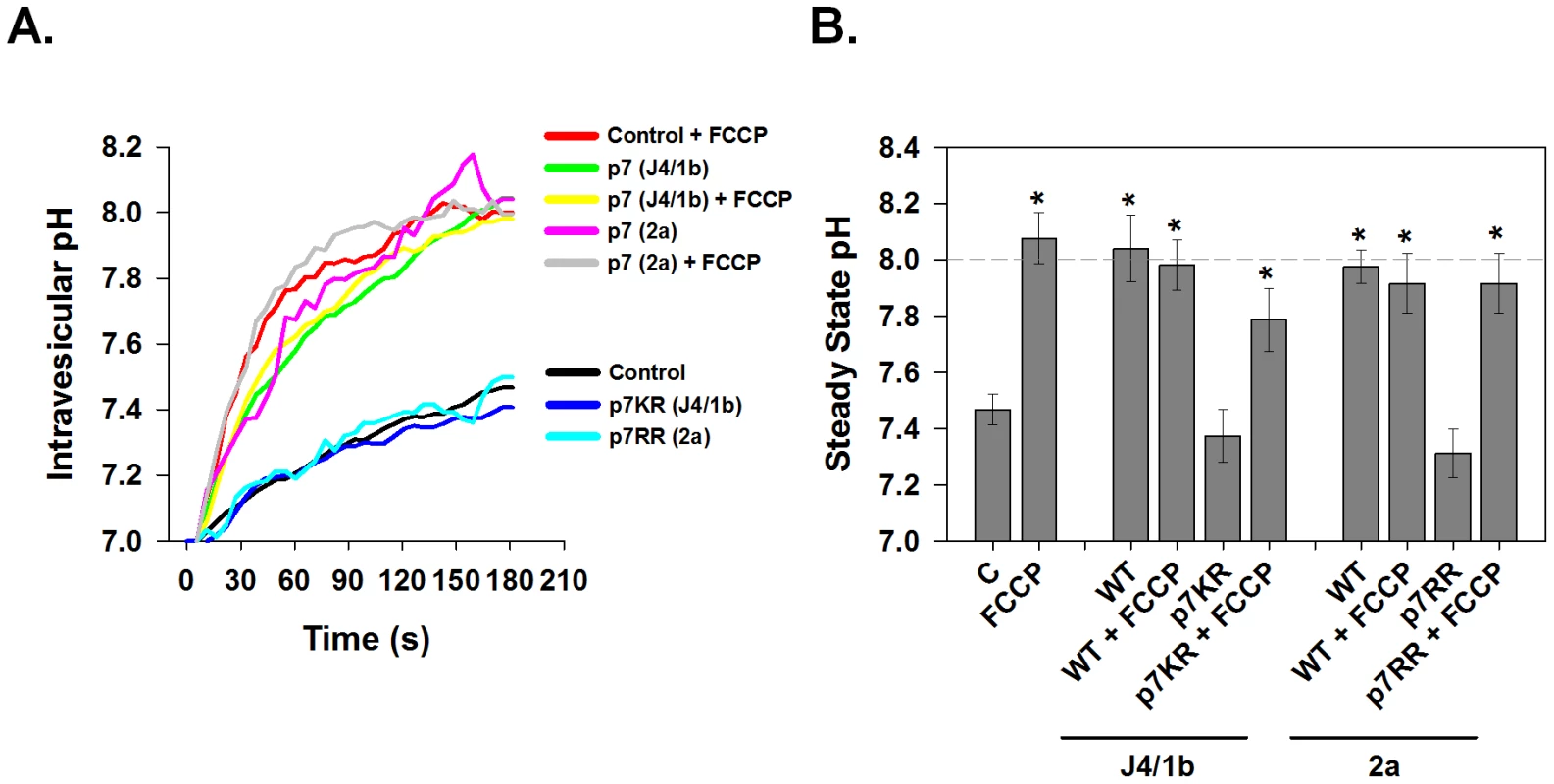 Conductive properties of HCV p7 proteins.