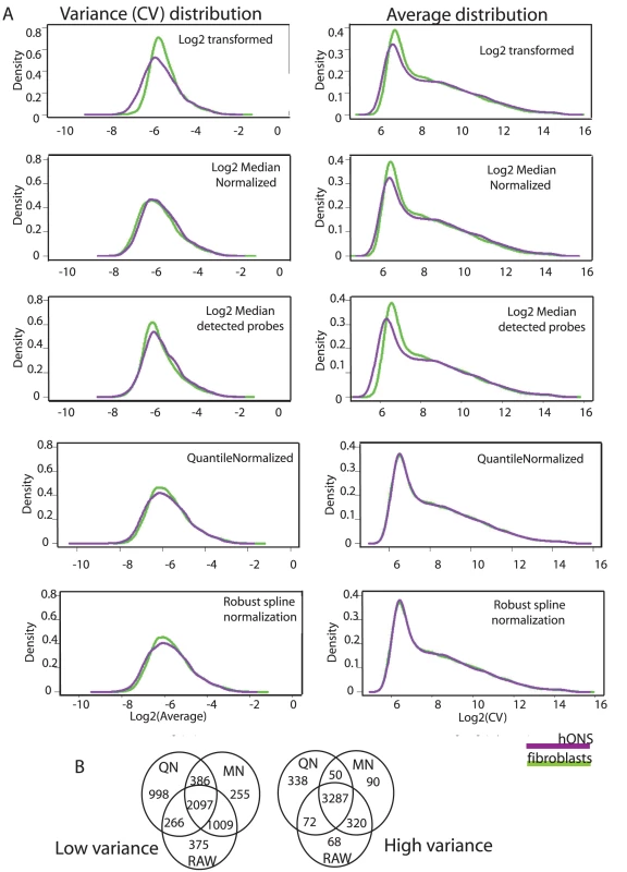 Expression variance is stable under different normalization strategies.