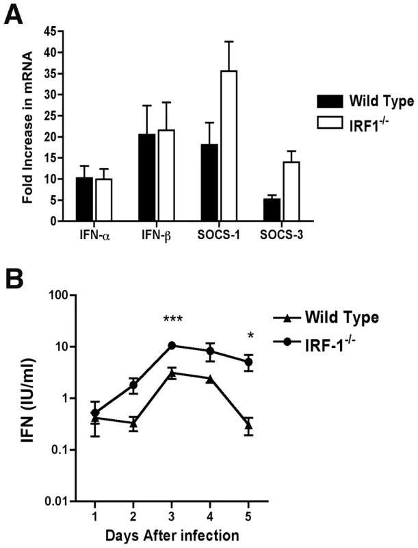 IFN-dependent responses in lymph node and serum of wild type and <i>IRF-1</i><sup>-/-</sup> mice infected with WNV.