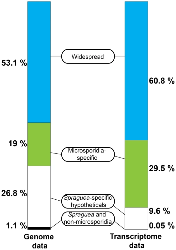 Taxonomic distribution of predicted ORFs in the genome and transcriptome of <i>Spraguea</i>.