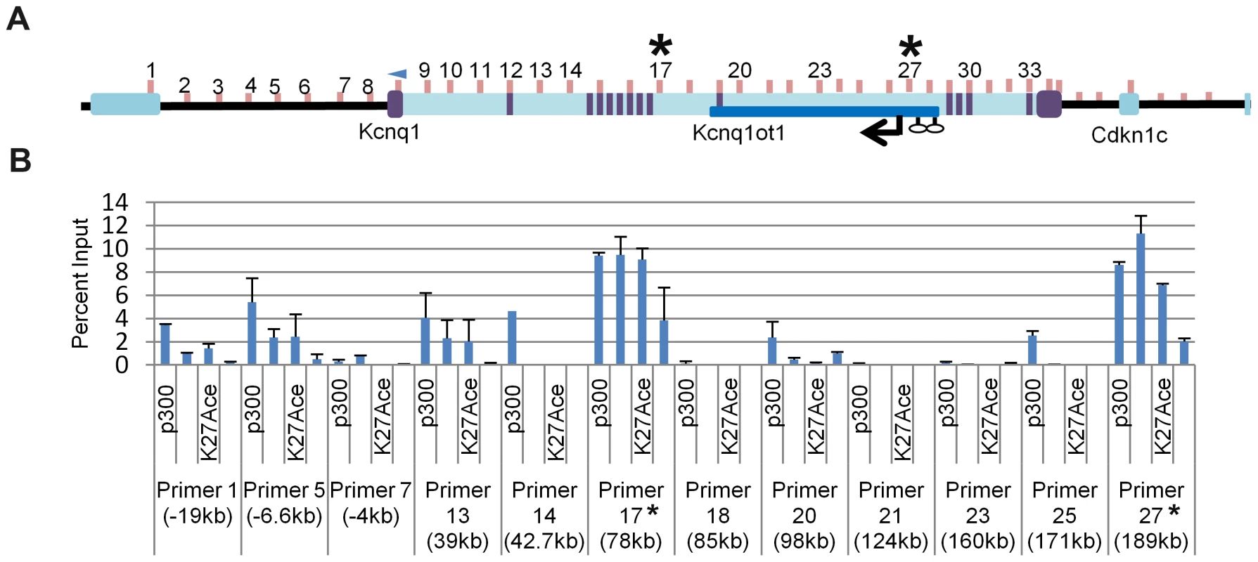 Chromatin immunoprecipitation (ChIP) of selected regions of the <i>Kcnq1</i> gene.