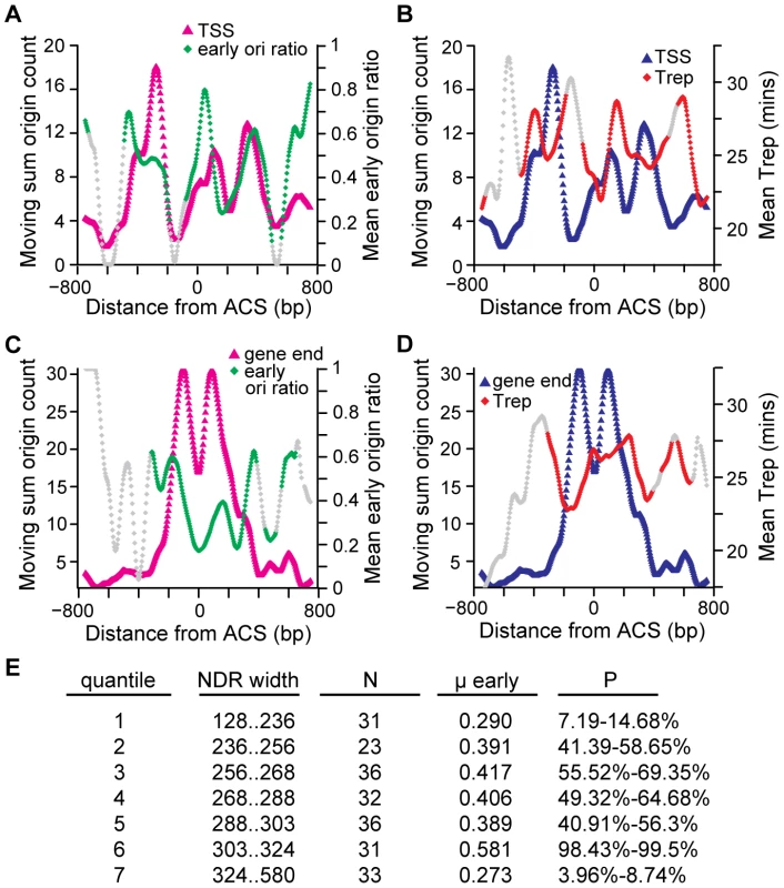 The relationship among replication timing and the locations of ACS-proximal TSSs and gene ends, and NDR widths.