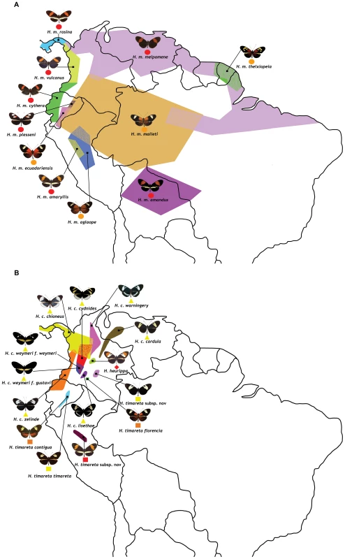 Geographic distribution and phenotype radiation of the species and races used in this study.