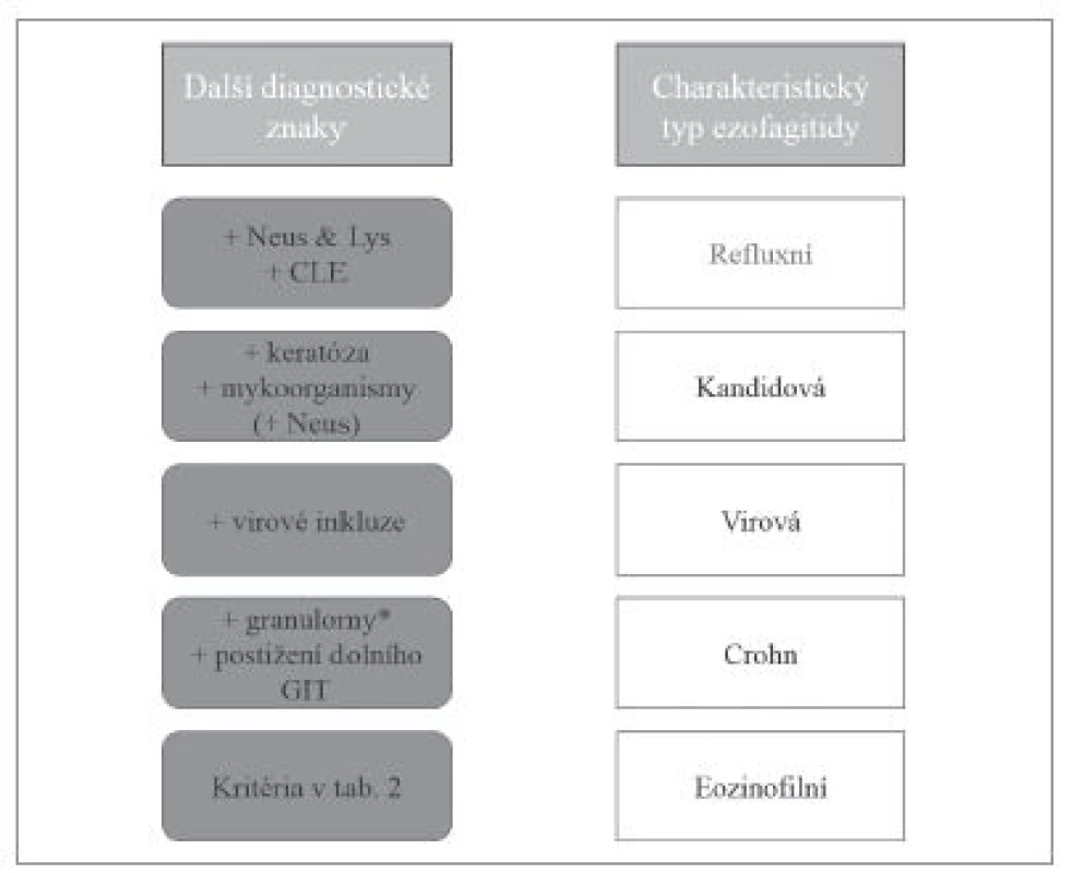 Diferenciální diagnostika ezofagitid s dominantním eozinofilním typem zánětlivého infiltrátu. Neus – příměs neutrofilních granulocytů, Lys – příměs lymfocytů, CLE – kolumnární metaplázie sliznice jícnu (columnar-lined esophagus, CLE).