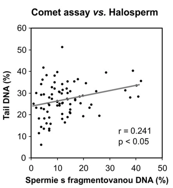 Korelace mezi výsledky kometového testu a testu na disperzi chromatinu (Halosperm), r = Pearsonův korelační koeficient 
Fig. 3. Correlation between the results of comet assay and chromatin dispersion assay (Halosperm), r = Pearson correlation coefficient