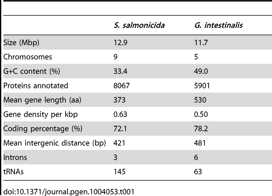 Comparison of the &lt;i&gt;S. salmonicida&lt;/i&gt; and &lt;i&gt;G. intestinalis&lt;/i&gt; genomes.