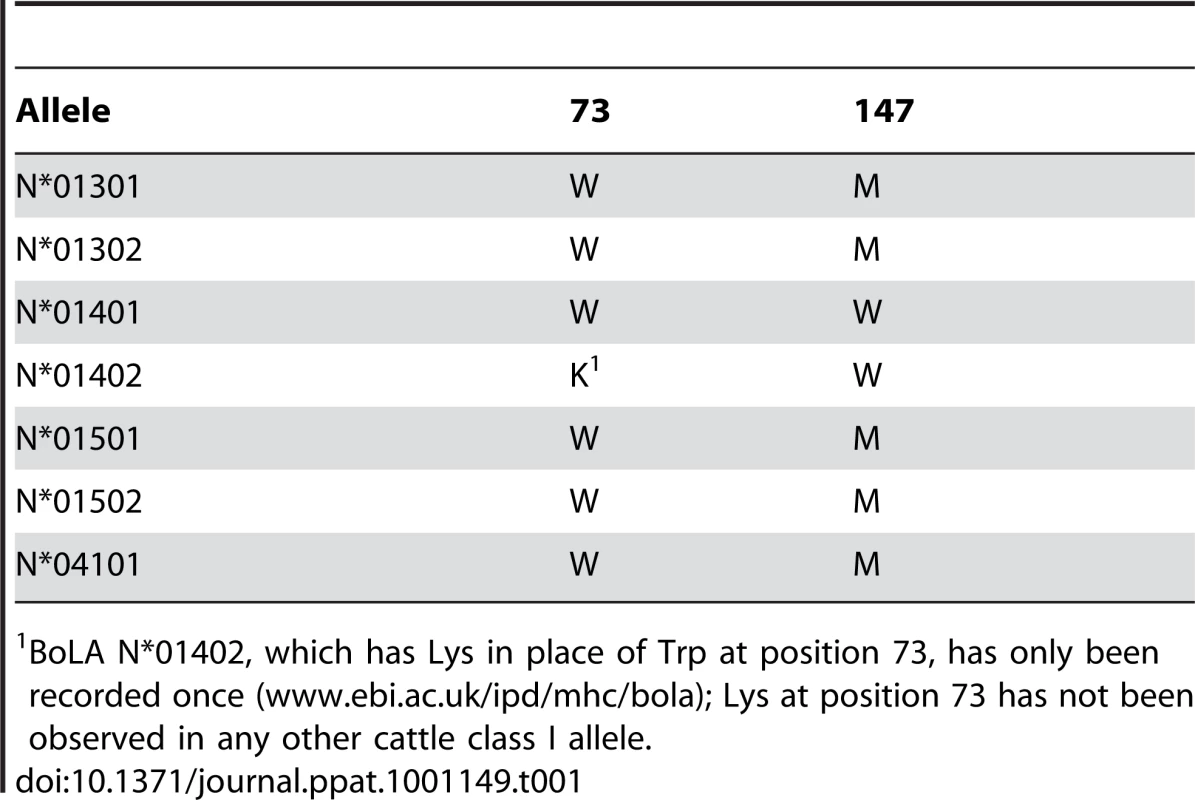 Amino acid residues at positions 73 and 147 in 7 cattle MHC class I alleles.