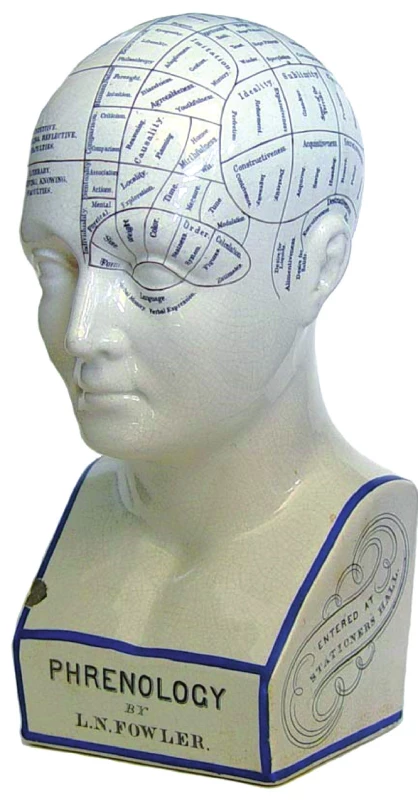 Frenologická busta vyobrazující mozková „centra“