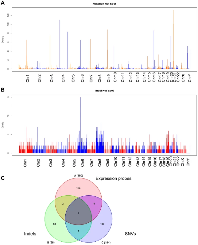 Exome sequencing analysis of KCL-22M vs KCL-22 cells.