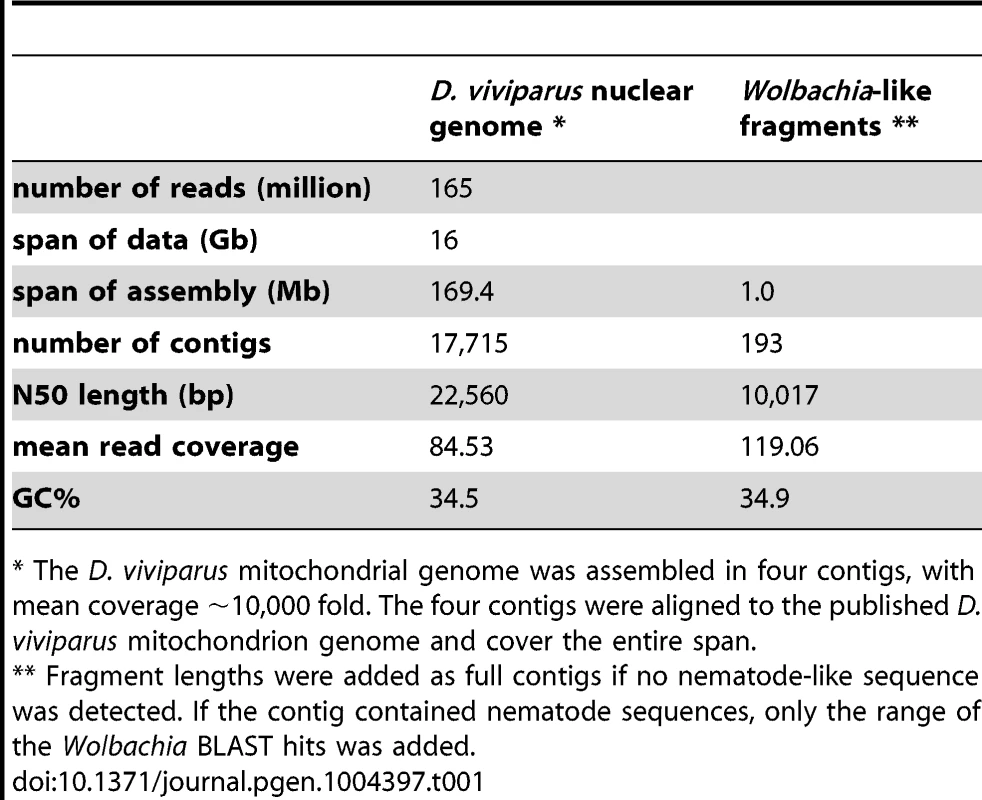 Assembly statistics for the <i>Dictyocaulus viviparus</i> nuclear genome and the <i>Wolbachia</i>-like insertions.