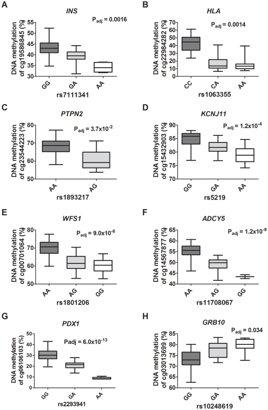 Diabetes SNPs reported by GWAS associate with DNA methylation in human pancreatic islets.