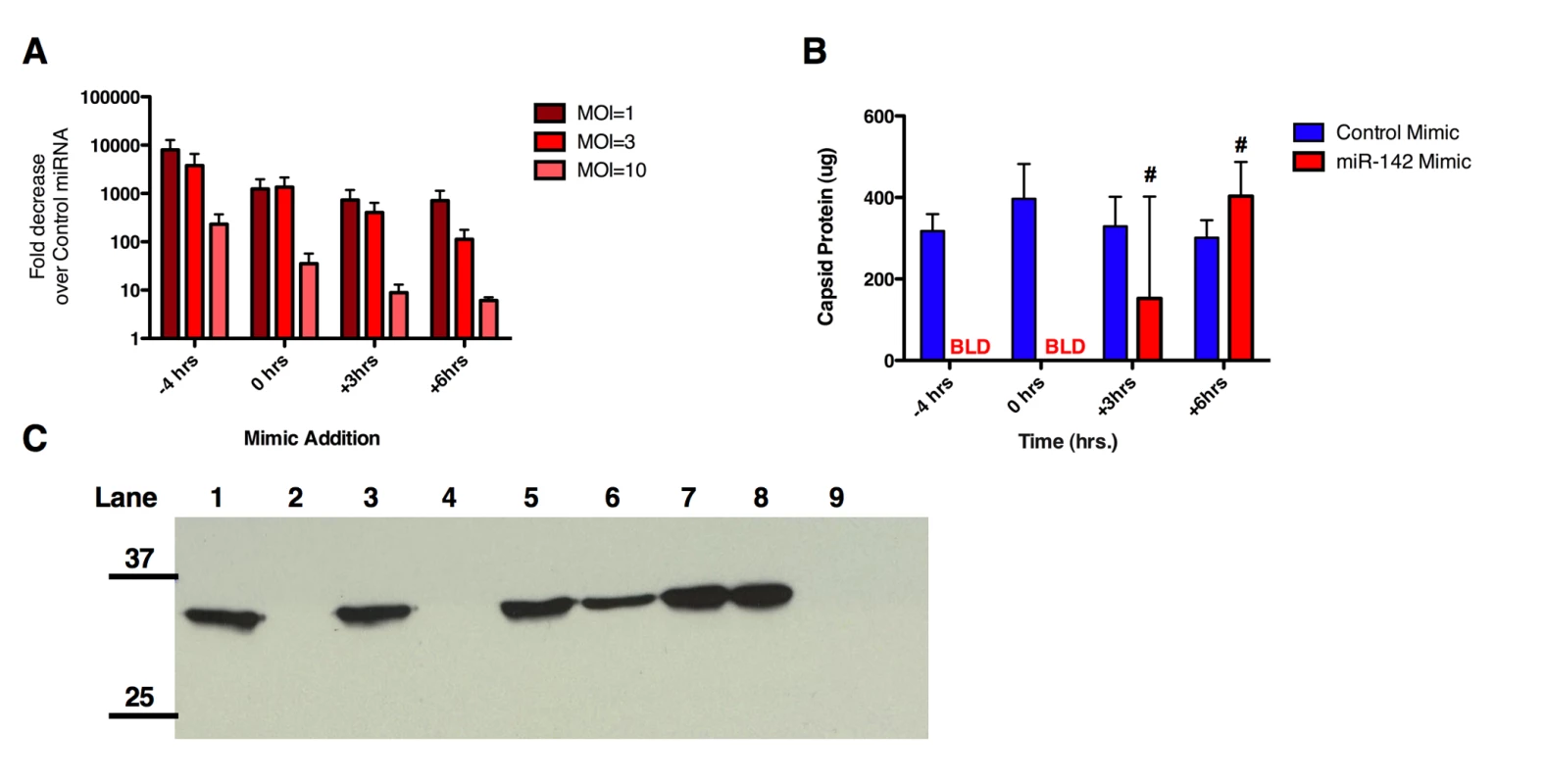 MicroRNAs can affect particle to infectivity ratio of CVA21.