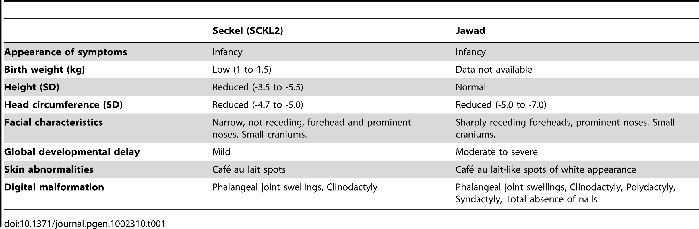 Comparison of clinical and morphometric findings in Seckel (&lt;b&gt;SCKL2)&lt;/b&gt; and Jawad patients.