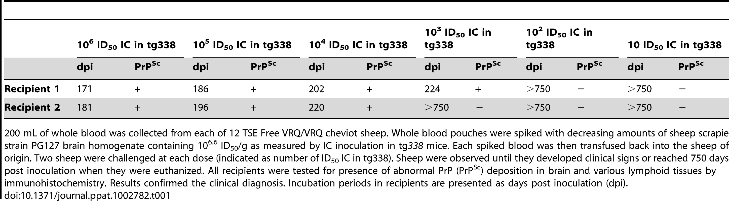 Transfusion of VRQ/VRQ sheep with blood spiked with decreasing amounts of PG127 infected sheep brain homogenate.