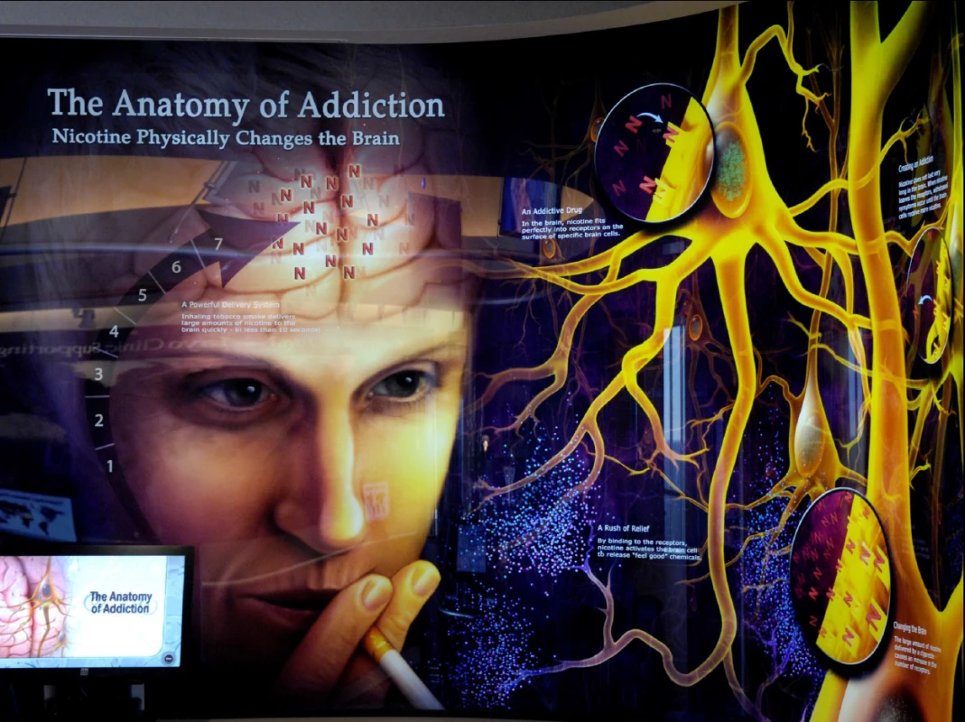 Instalace „Anatomie závislosti“ v Centru pro život bez tabáku při Mayo Clinic