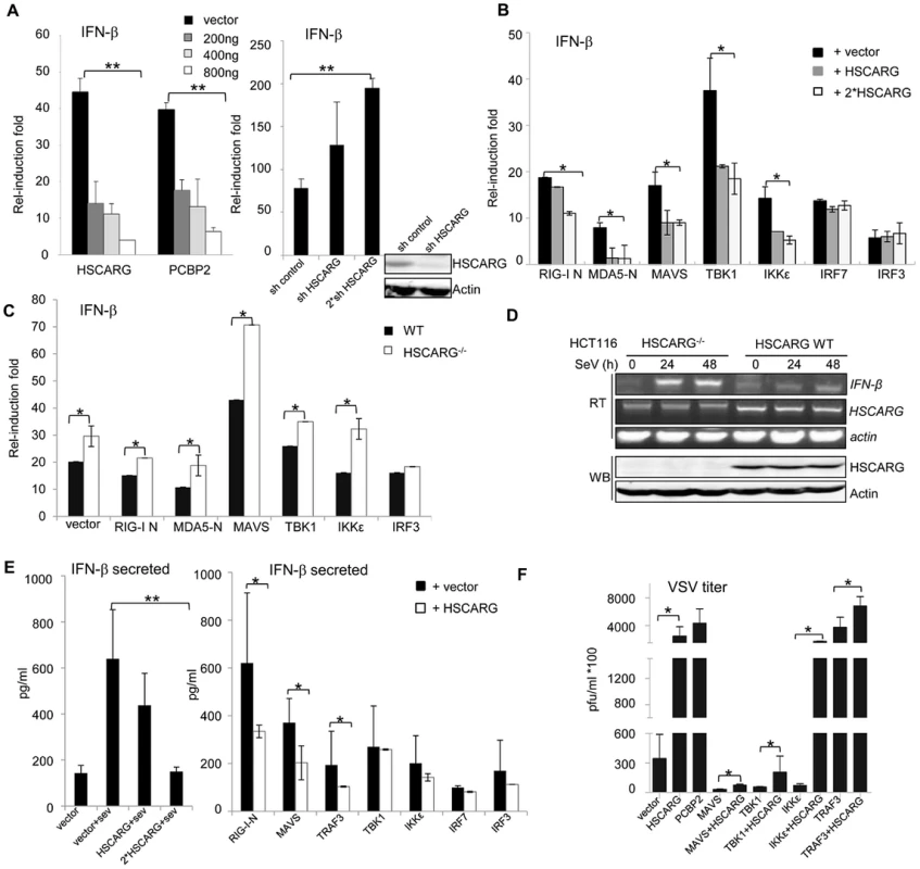 HSCARG negatively regulates cellular antiviral response.