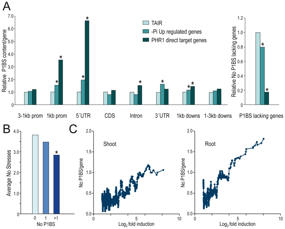 P1BS distribution over different gene parts of PHR1 direct targets and Pi starvation-responsive genes.