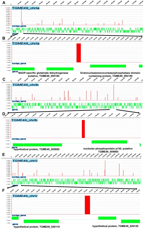 Genome-wide TgNF3 occupancy of gene promoters by ChIP-seq.