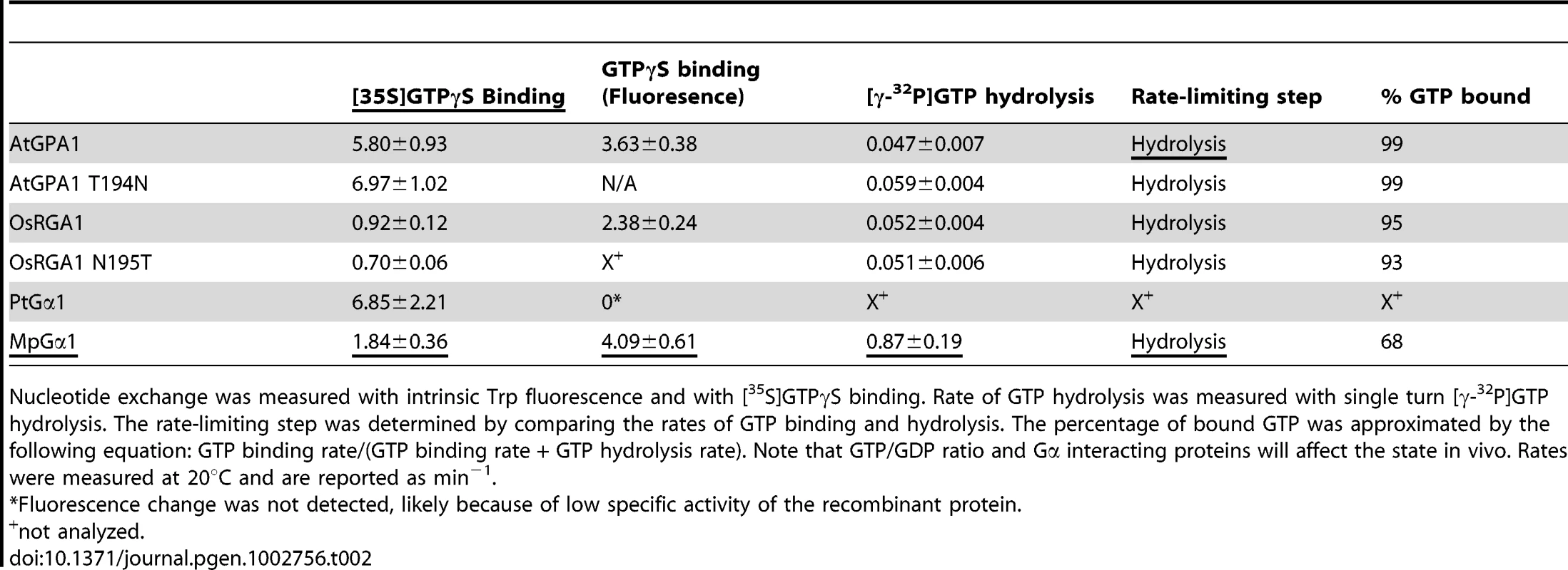 Rates of nucleotide exchange and GTP hydrolysis.