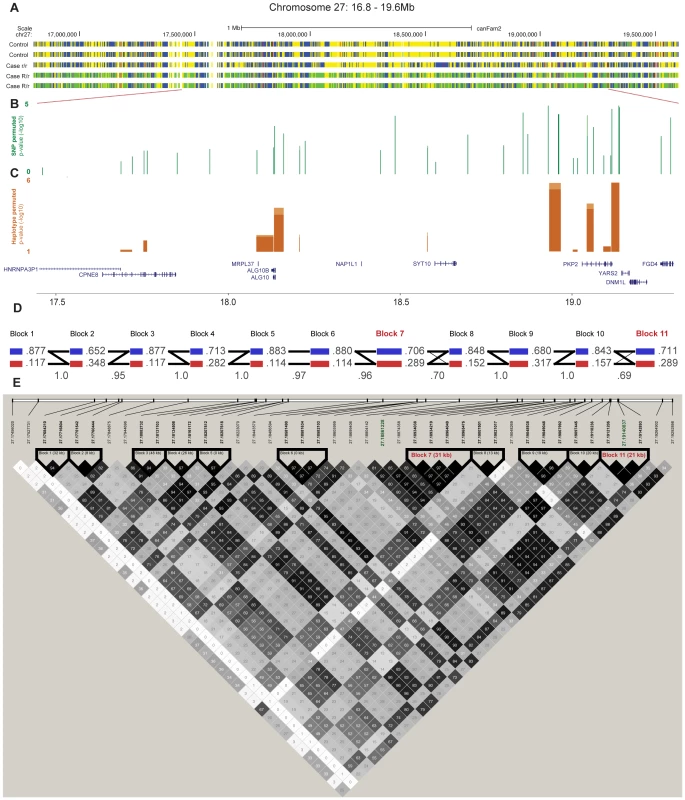 Fine-mapping of the chromosome 27 locus confirms the association with CAD and further pinpoints the region around the <i>PKP2</i> gene.