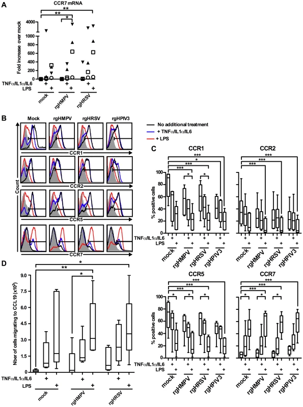 A cocktail of pro-inflammatory cytokines TNF-α/IL-1α/IL-6 partly restores the CCR7-driven migration of rgHMPV- or rgHRSV-stimulated MDDC.