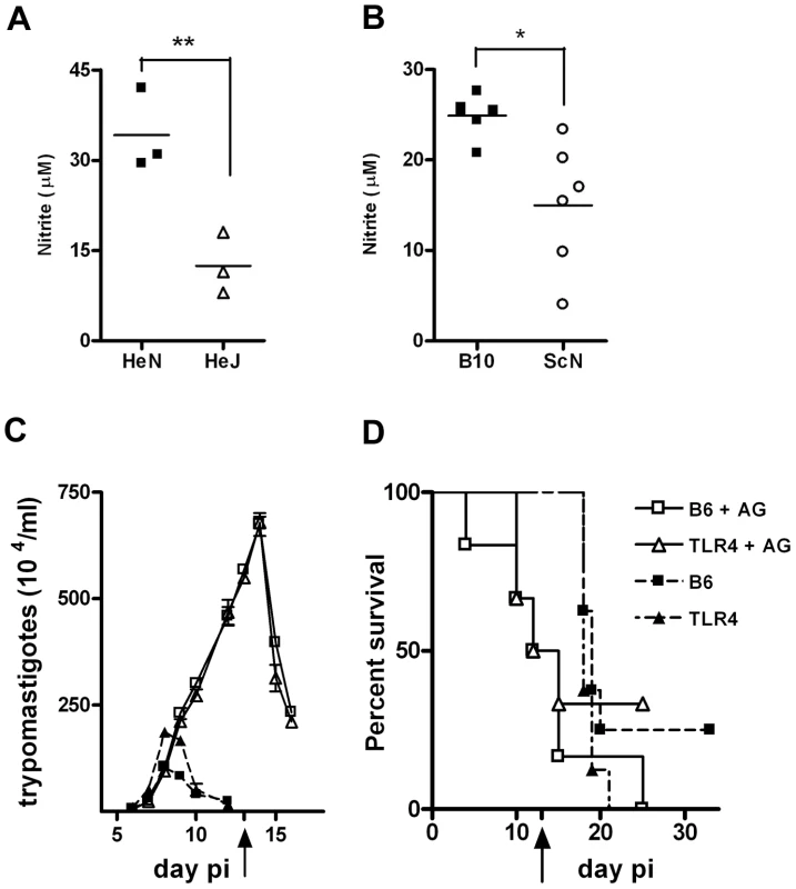 <i>In vivo</i> blockage of NO production turns WT and <i>Tlr4<sup>−/−</sup></i> mice equally susceptible to infection with <i>T. cruzi</i>.