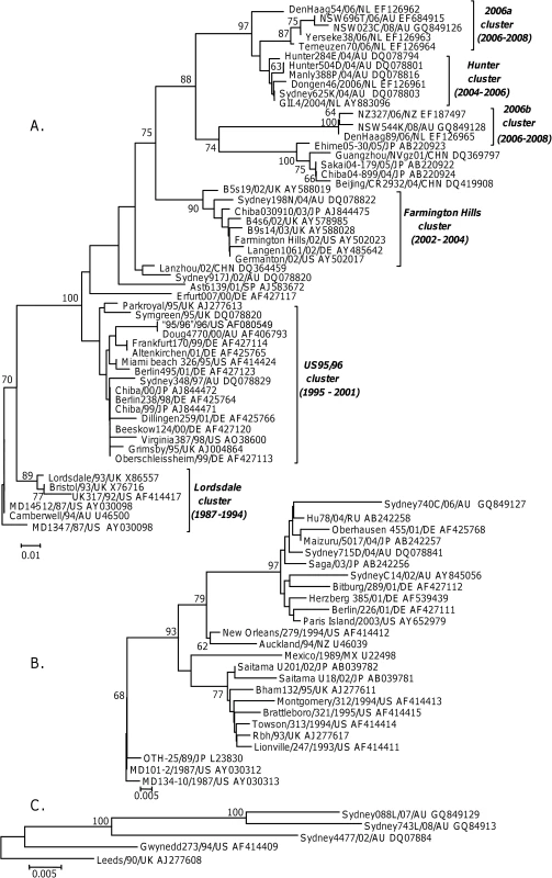 Phylogenetic analysis of the amino acid sequence of the P2 domain from GII.4 (A), GII.b/GII.3 and GII.3 (B) and GII.7 (C) strains circulating between 1987 and 2008.