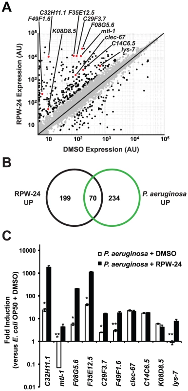 RPW-24 induces the transcription of putative immune effectors in <i>C. elegans</i>.