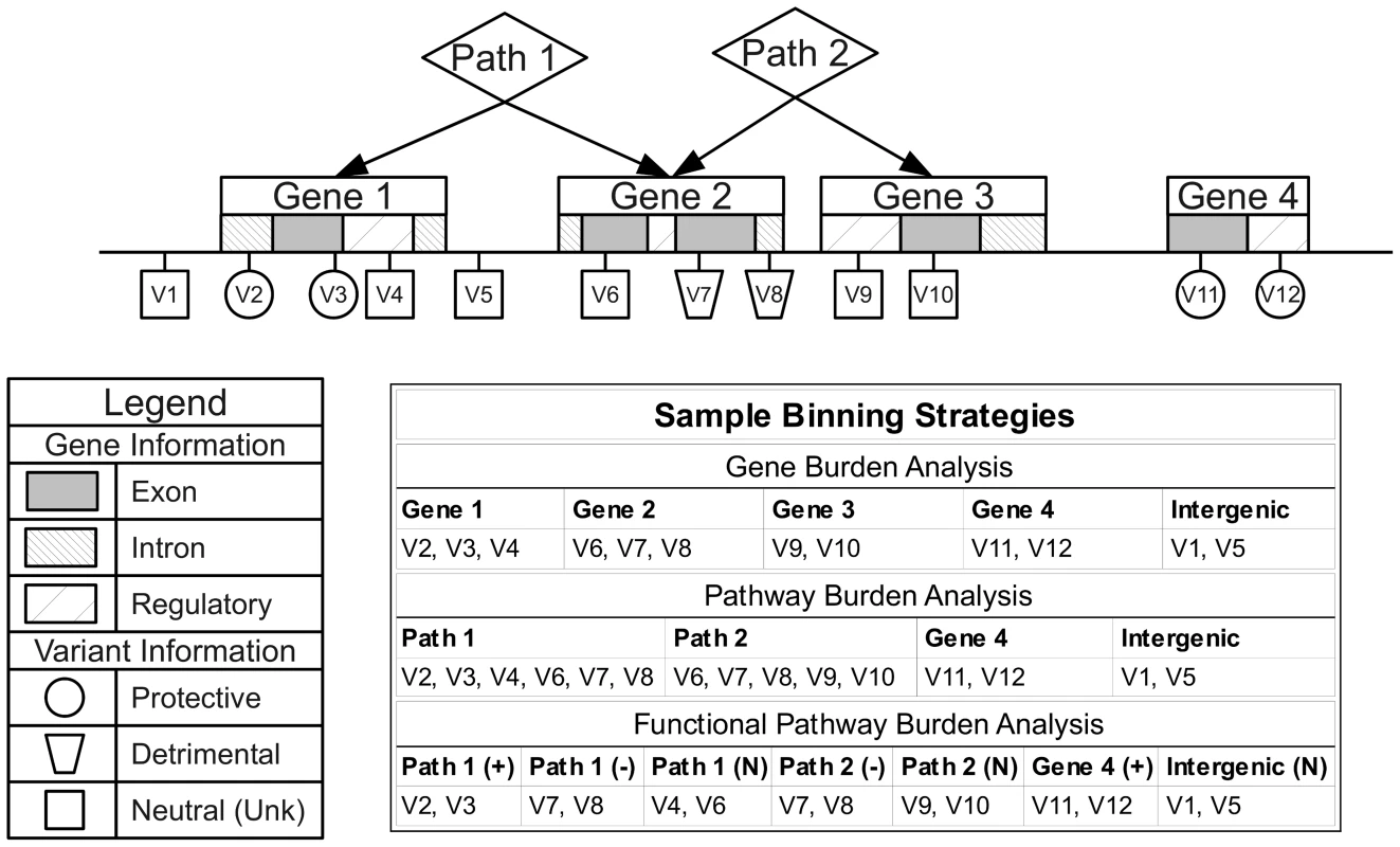 Alternate binning strategies using biological knowledge and functional or role annotations.