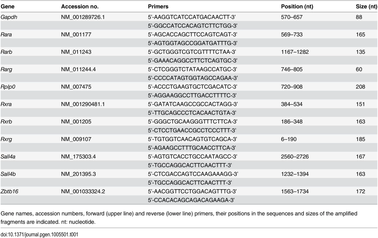 Primers used in quantitative RT-PCR.