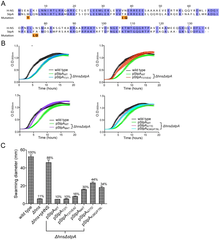 Missense mutations in the H-NS paralogue StpA partially restore the impaired growth and motility phenotypes of <i>hns</i> mutants.