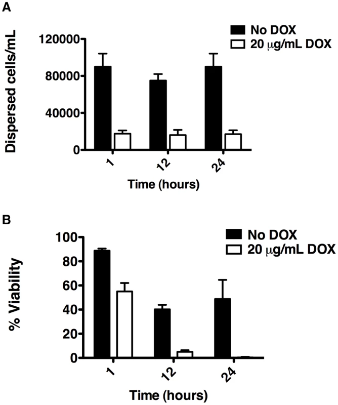 Depletion of Hsp90 reduces biofilm dispersion and viability of the dispersed cell population.