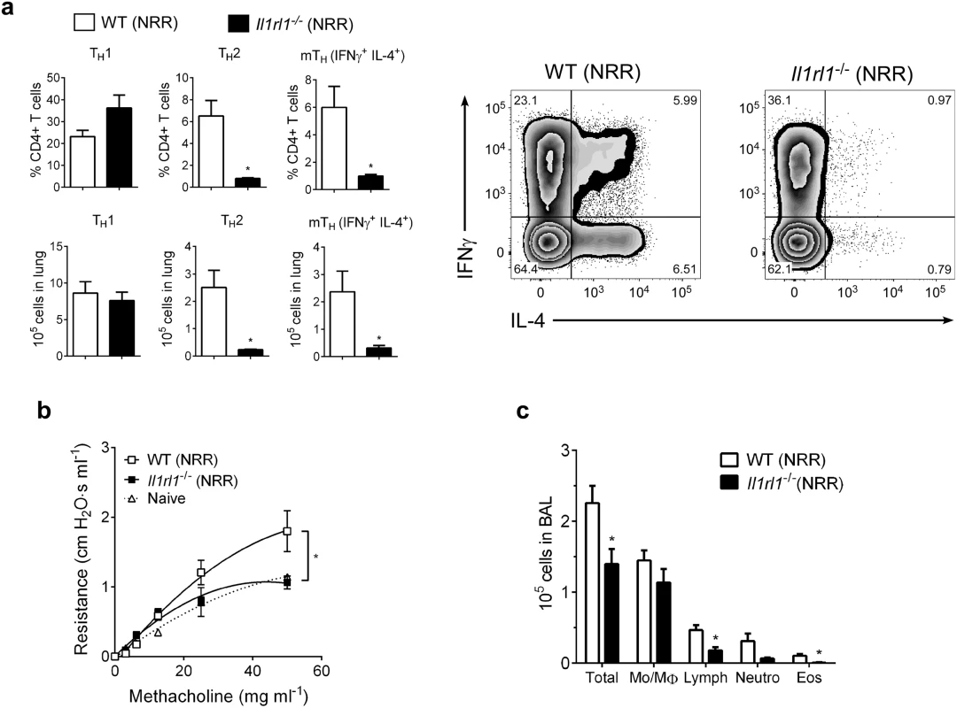 IL-33 signaling is required for neonatal RSV immunopathophysiology.