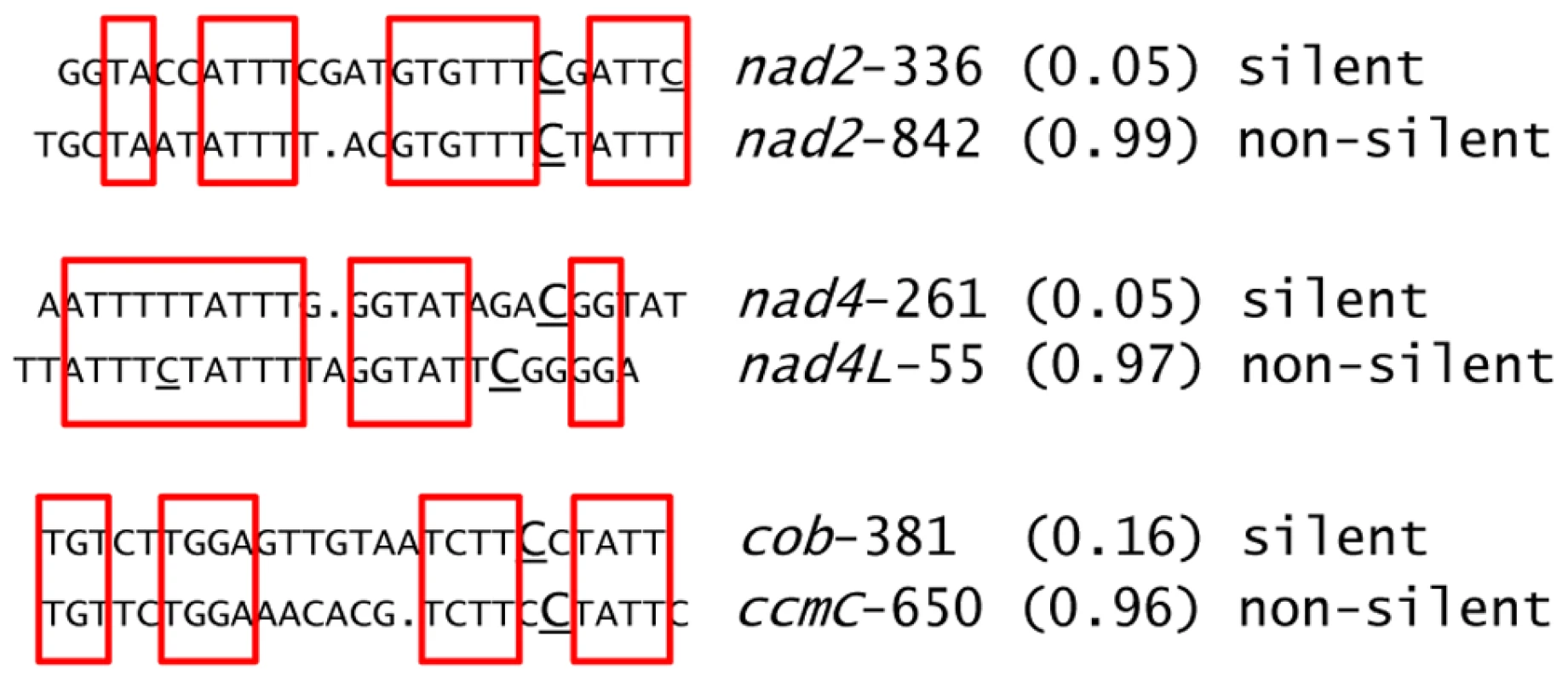 Examples of newly identified editing sites having sequences in their putative <i>cis</i> elements similar to known editing sites.