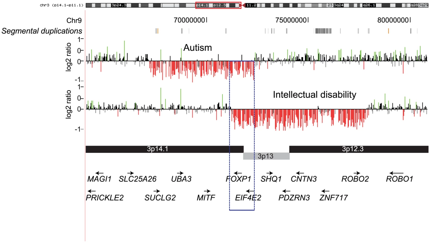 <i>FOXP1</i> deletions in individuals with autism and ID.