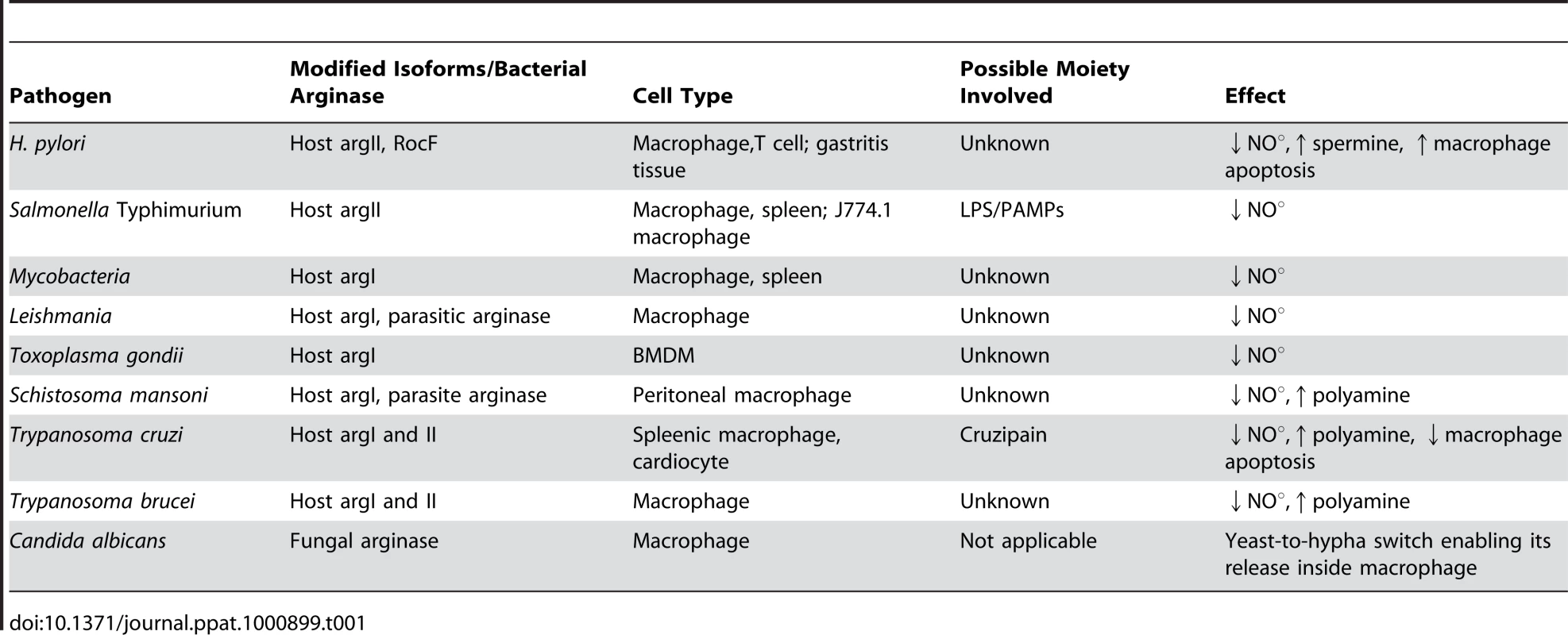 Modulation of arginase by various pathogens.