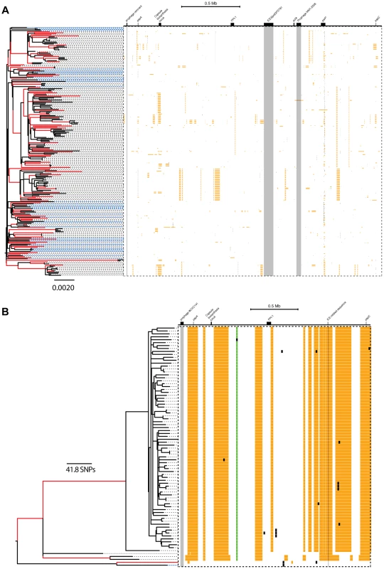 Distribution of micro- and macro-recombination events in the PMEN1 (A) and CC180 (B) phylogenies.