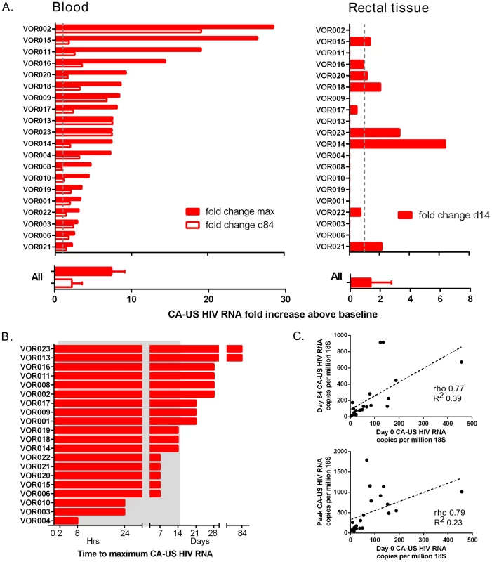 Individual changes in CA-US HIV RNA in blood and tissue.