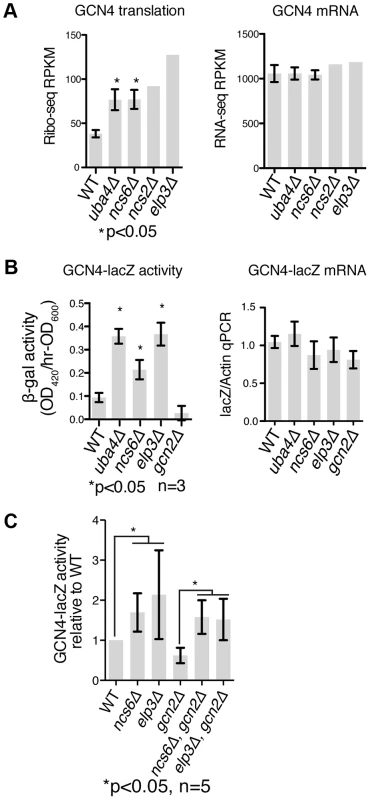 <i>GCN4</i> is induced independently of <i>GCN2</i> in MSUM strains.