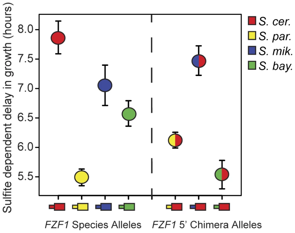 <i>FZF1</i> alleles from different species have diverged in function.