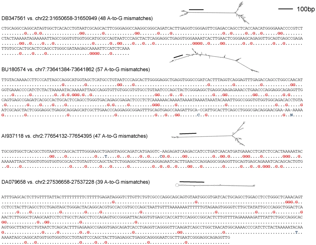 The alignment of typical ultra-edited RNAs to the genome.