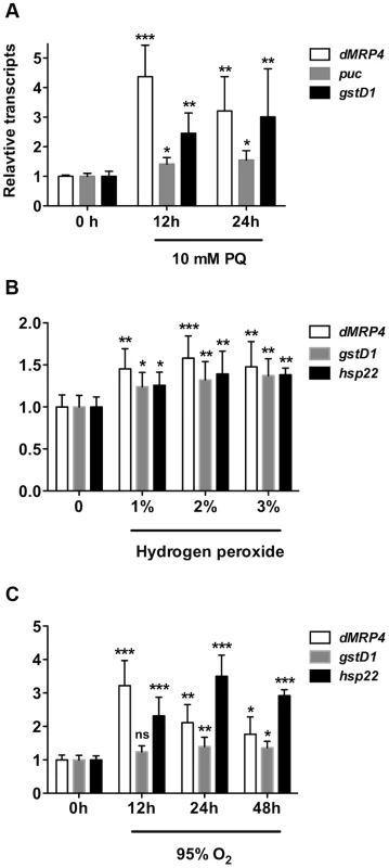 <i>dMRP4</i> is up-regulated in response to oxidative stress.