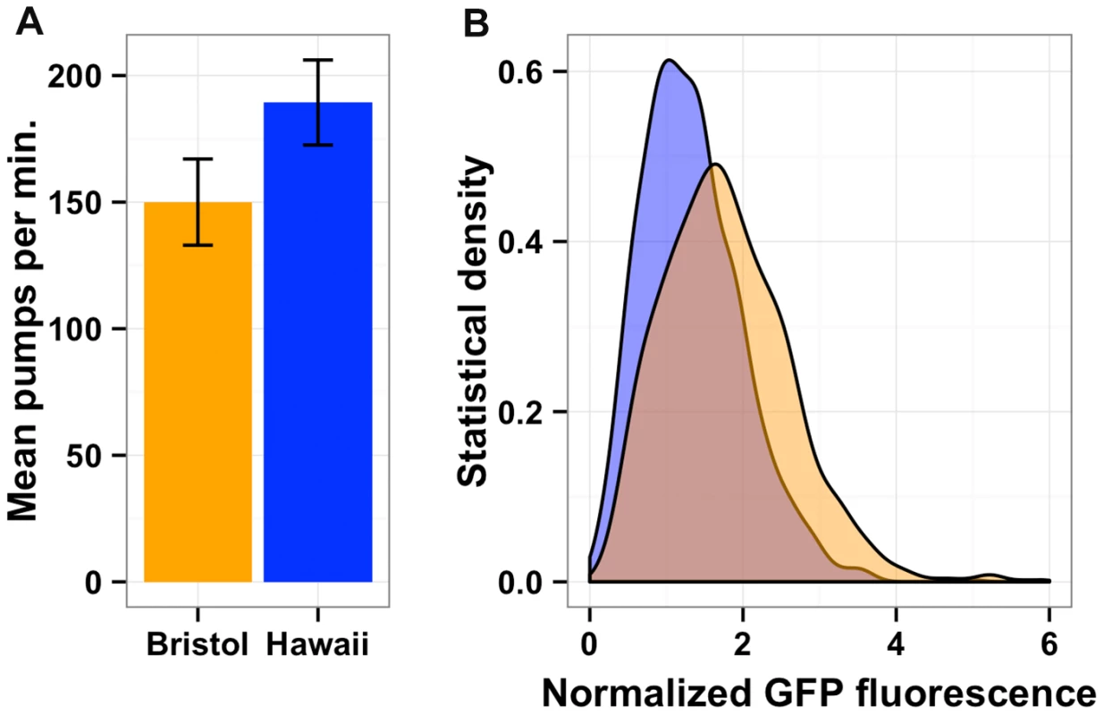 Bacterial food consumption differs between the Bristol and Hawaii strains.