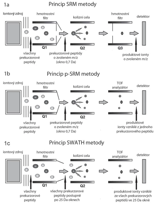 Schéma hmotnostních spektrometrů pracujících v režimech SRM, p-SRM a SWATH/HRM. Peptidy jsou separovány kapalinovou chromatografií, odkud vstupují do iontového zdroje, kde jsou účinkem vysokého napětí ionizovány. Nabité peptidy pokračují do hmotnostního spektrometru. A. V SRM metodě filtruje kvadrupól Q1 pouze vybrané prekurzorové ionty (peptidy) o zvoleném poměru hmotnost/náboj (m/z), které pak pokračují do kolizní cely (Q2), kde jsou fragmentovány za vzniku produktových iontů (specifických peptidových fragmentů). Kvadrupól Q3, podobně jako Q1, zde funguje na principu hmotnostního filtru a propouští na detektor jen vybrané produktové ionty. B. Metoda p-SRM se od SRM v principu liší v posledním hmotnostním analyzátoru, kterým je analyzátor doby letu (time-of-fl ight – TOF). Zde dochází k analýze všech vzniklých produktových iontů na základě doby průletu k detektoru, nikoli jen vybraných. C. V případě metody SWATH/HRM kvadrupól Q1 postupně propouští do kolizní cely nikoliv jednotlivé prekurzorové ionty (peptidy), ale soubory peptidů spadajících do oblasti m/z (SWATH okna) o šířce typicky 25 Da. Všechny propuštěné ionty jsou pak fragmentovány v kolizní cele (Q2) a analyzovány pomocí analyzátoru doby letu (TOF).