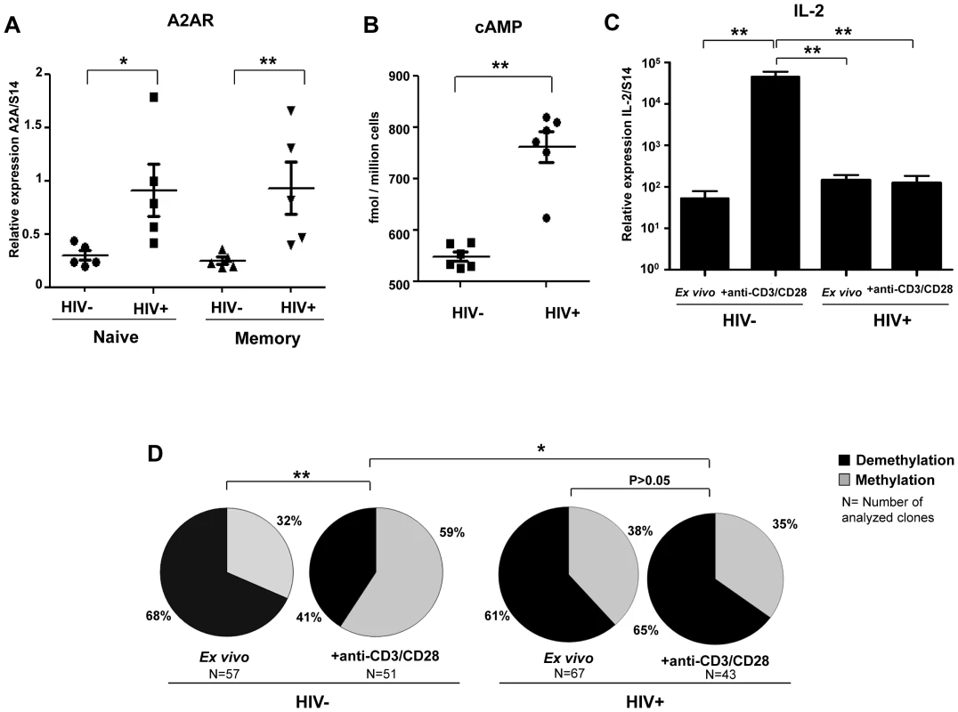 High levels of A2AR and endogenous cAMP in CD4+ T cells from HIV infected patients and lack of IL-2 production