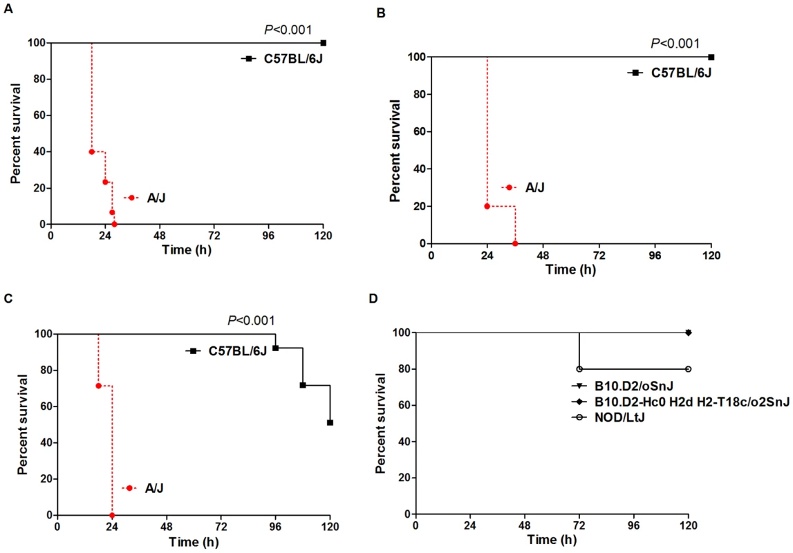 A/J and C57BL/6J mice exhibit different susceptibility to <i>S. aureus</i> that is not primarily due to deficiency in Complement C5.