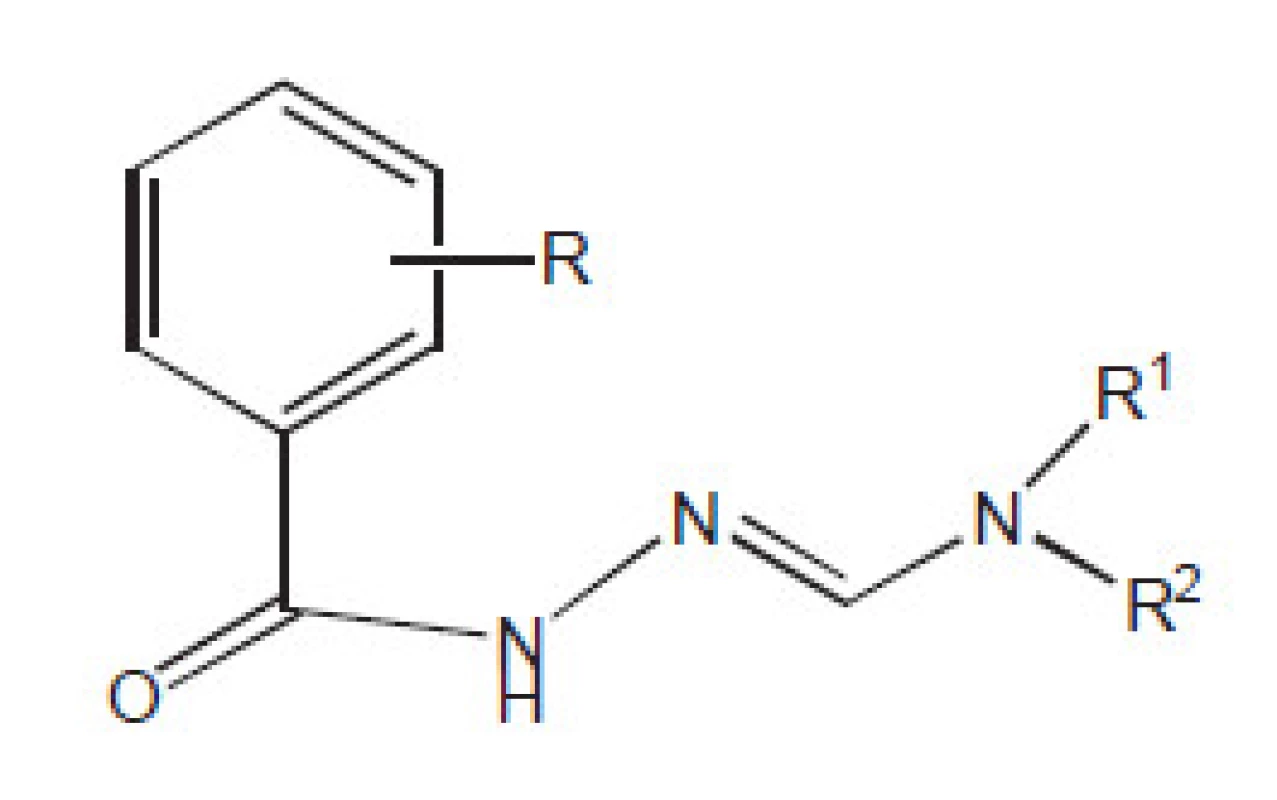 Antimykobakteriálně aktivní hydrazony (aktivní vůči MD). Skupina je velmi početná. Jako substituenty obsahují řadu různých strukturních částí.