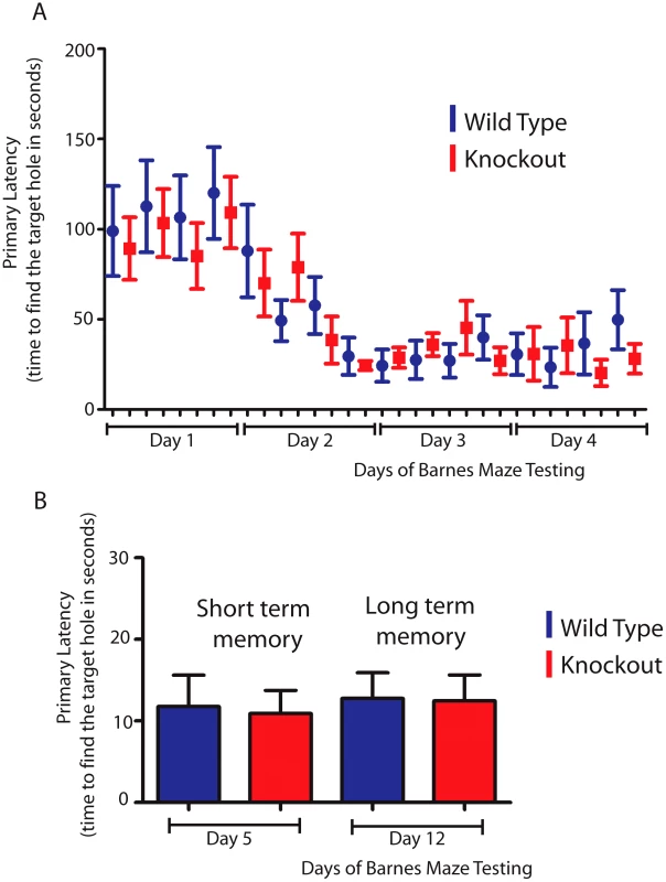 T-STAR null mice have long and short term spatial memory equivalent to wild-type mice.